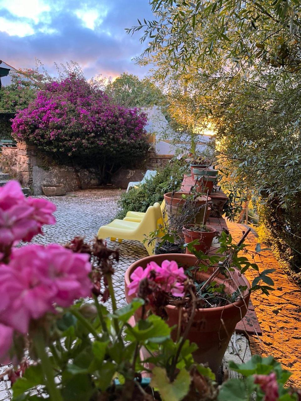 Quinta Laranja - Turismo Rural - Alvorninha Екстериор снимка